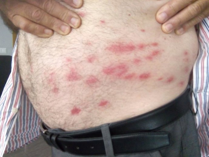 AVA-Asaja pide al Consell un plan para combatir los "virulentos ataques" de las 