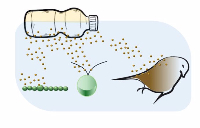 Los plásticos biodegradables también se degradan y afectan a la naturaleza