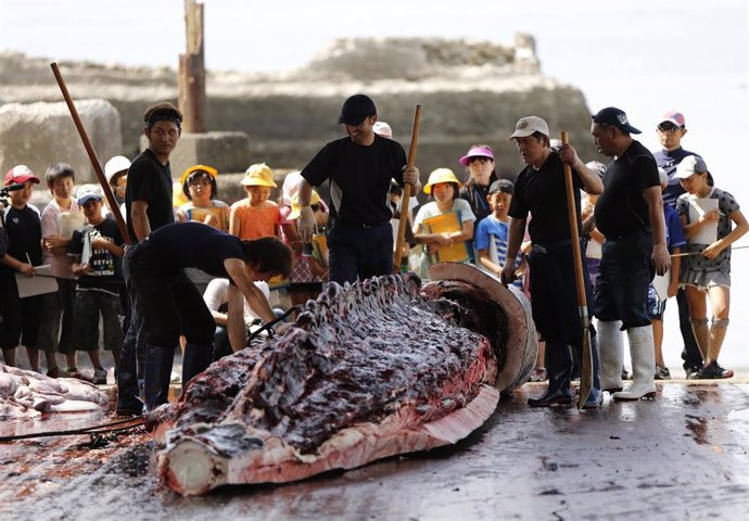 Caza de ballenas en Japón