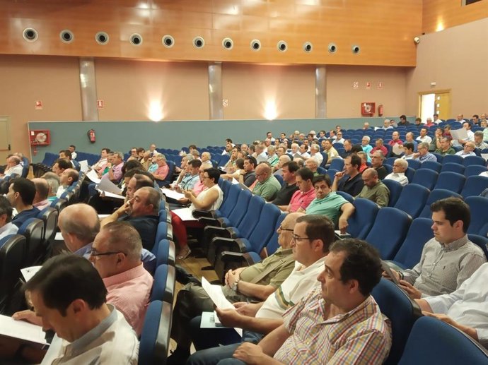 Cooperativas Agro-alimentarias andaluzas no ve "consensuada" la movilización del