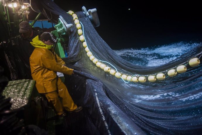 Marineros recogen redes con anchoas.