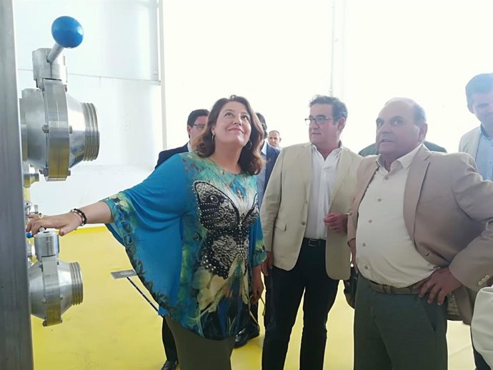 La Junta destaca el papel de cooperativas como Oleoestepa: "La unión es una solu