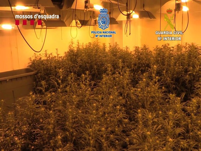 Vídeo de la noticia