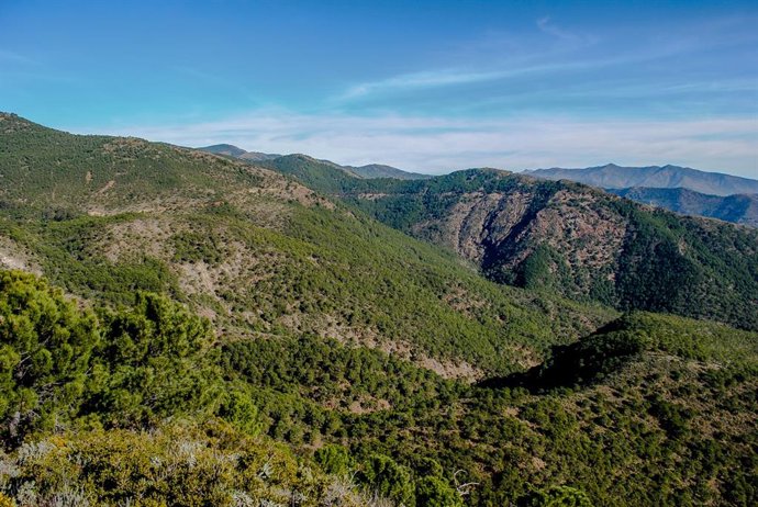 Estepona intensifica los controles policiales en el acceso a Los Reales para prevenir incendios forestales