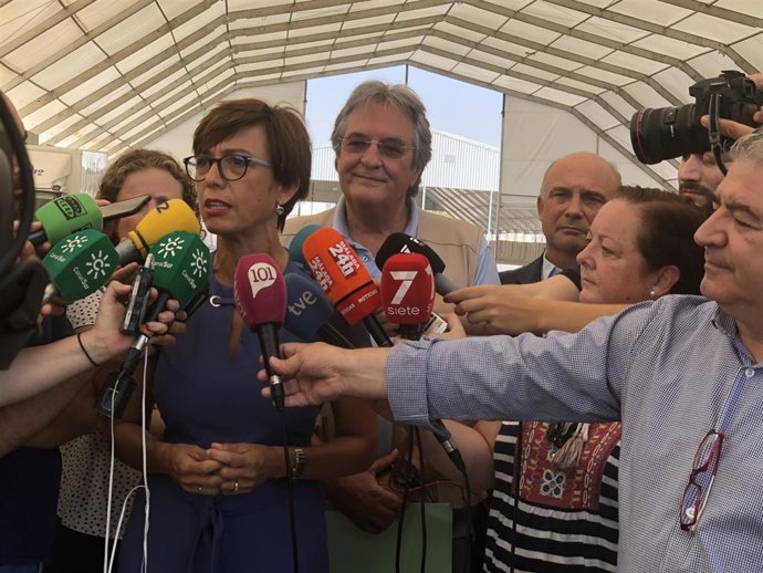 La subdeletaga del Gobierno en Málaga, María Gámez, atiende a los medios