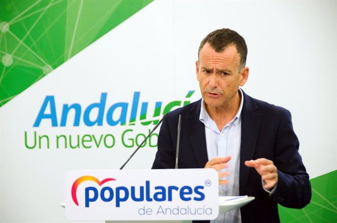 El vicesecretario de Sectores Productivos del PP-A, Pablo Venzal, en rueda de prensa.