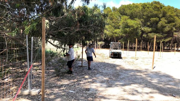 Obras en la zona de acampada de Dreambeach Villaricos