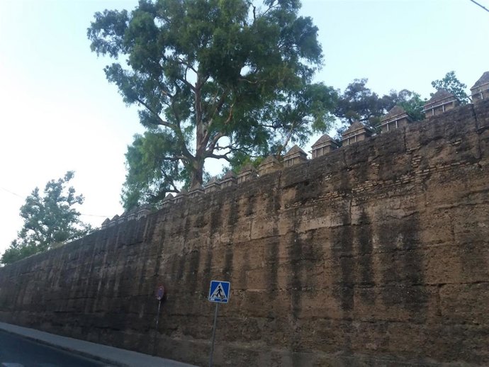 Muralla de la Macarena de Sevilla