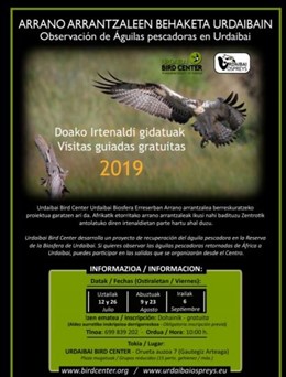 Urdaibai Bird Center ofrece este verano cinco salidas gratuitas para observar águilas pescadoras que retornan de África.