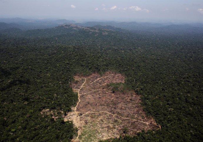 Deforestación de la selva amazónica de Brasil 