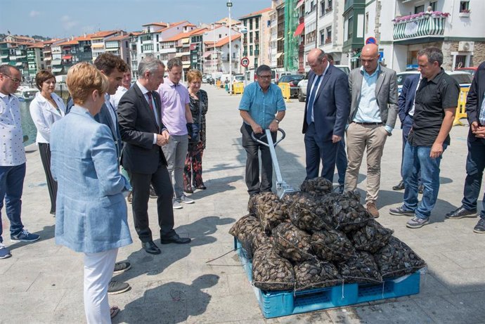 El lehendakari, Iñigo Urkullu, y la consejera de Desarrollo Económico, Arantxa Tapia, visitan el proyecto Matxitxako Mosluskoak