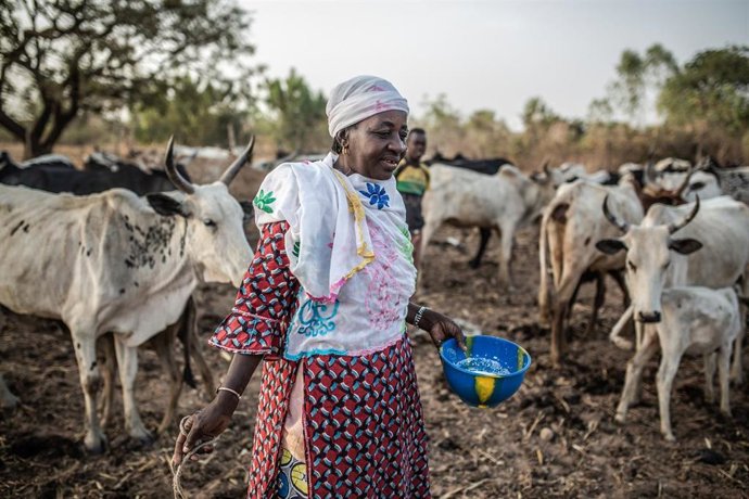 Una mujer con sus vacas en Burkina Faso