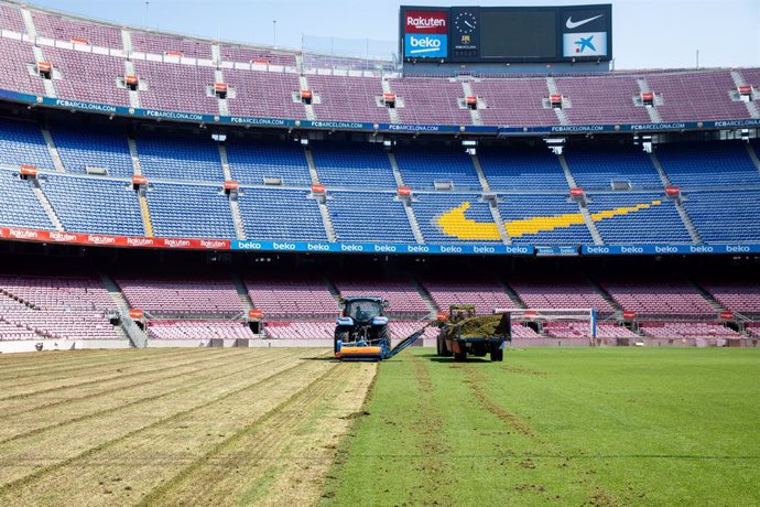 Fútbol.- El Camp Nou tendrá un nuevo césped híbrido esta temporada