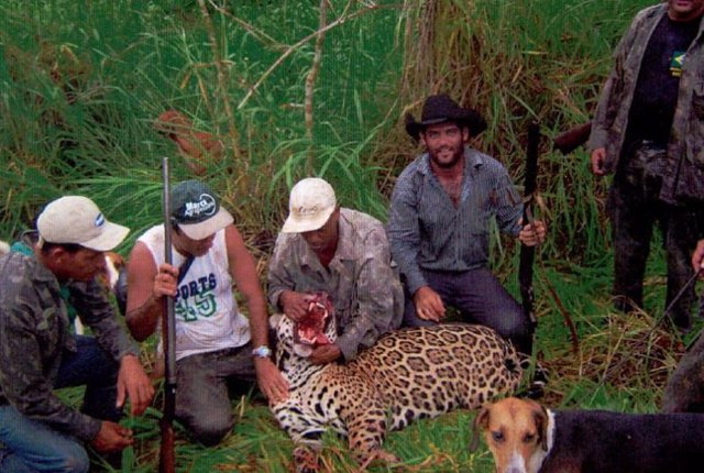Grupo de cazadores brasileños acusados de caza furtiva