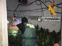 Localizada una plantación de marihuana en una vivienda de Roquetas (Almería) habitada por una pareja sexagenaria