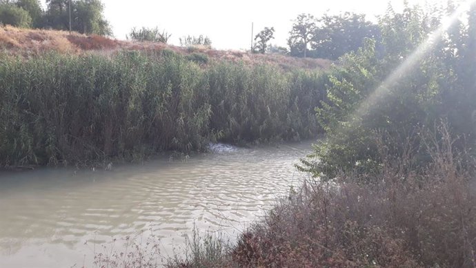 Agua.- La CHS abre los primeros pozos de la Batería Estratégica del Sondeos en l