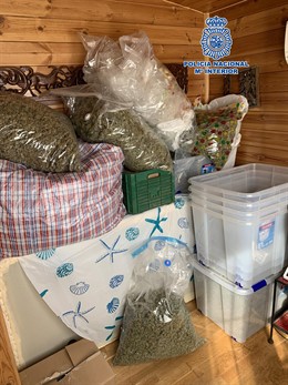 Marihuana incautada por la Policía Nacional en un inmueble de Cártama