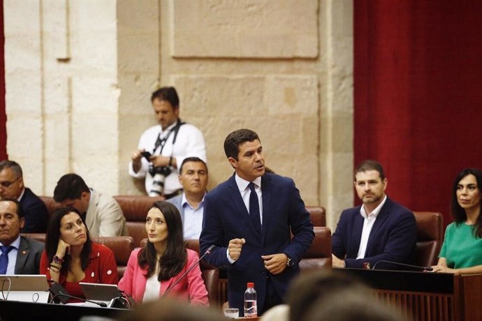 El portavoz parlamentario de Ciudadanos, Sergio Romero, durante la sesión de control
