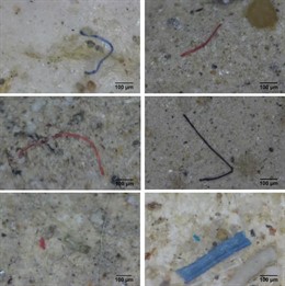 Los microplásticos encontrados en el delta del Ebro