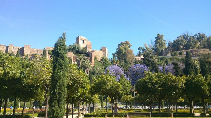 Vista de la Alcazaba de Málaga desde los jardines cercanos al Ayuntamiento de la capital.