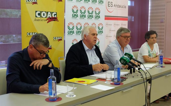 UPA y COAG mantienen su protesta en Sevilla por los bajos precios del aceite y l