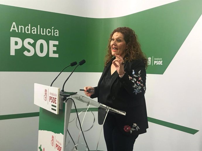 La parlamentaria socialista Araceli Maese