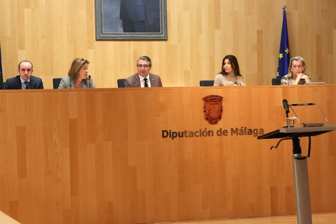 Pleno de la Diputación de málaga enero de 2019 Francisco Salado presidente en funciones