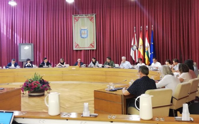 Imagen del pleno extraordinario celebrado por el Ayuntamiento de Logroño este viernes.