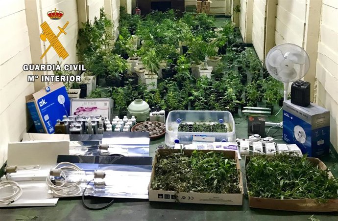 Incautación de droga en la 'Operación Martiñan' en Asturias.