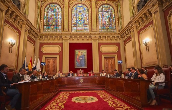Pleno del Ayuntamiento
