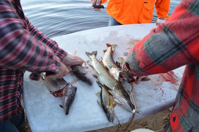 Pescadores trabajando