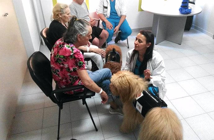 La terapia con perros en el Hospital Parc Taulí de Sabadell