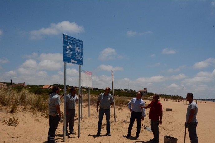El Ayuntamiento de Palos de la Frontera habilita dos nuevas zonas de playa para mascotas en Mazagón.