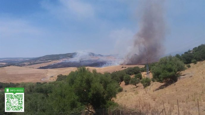Incendio en Alcalá de los Gazules