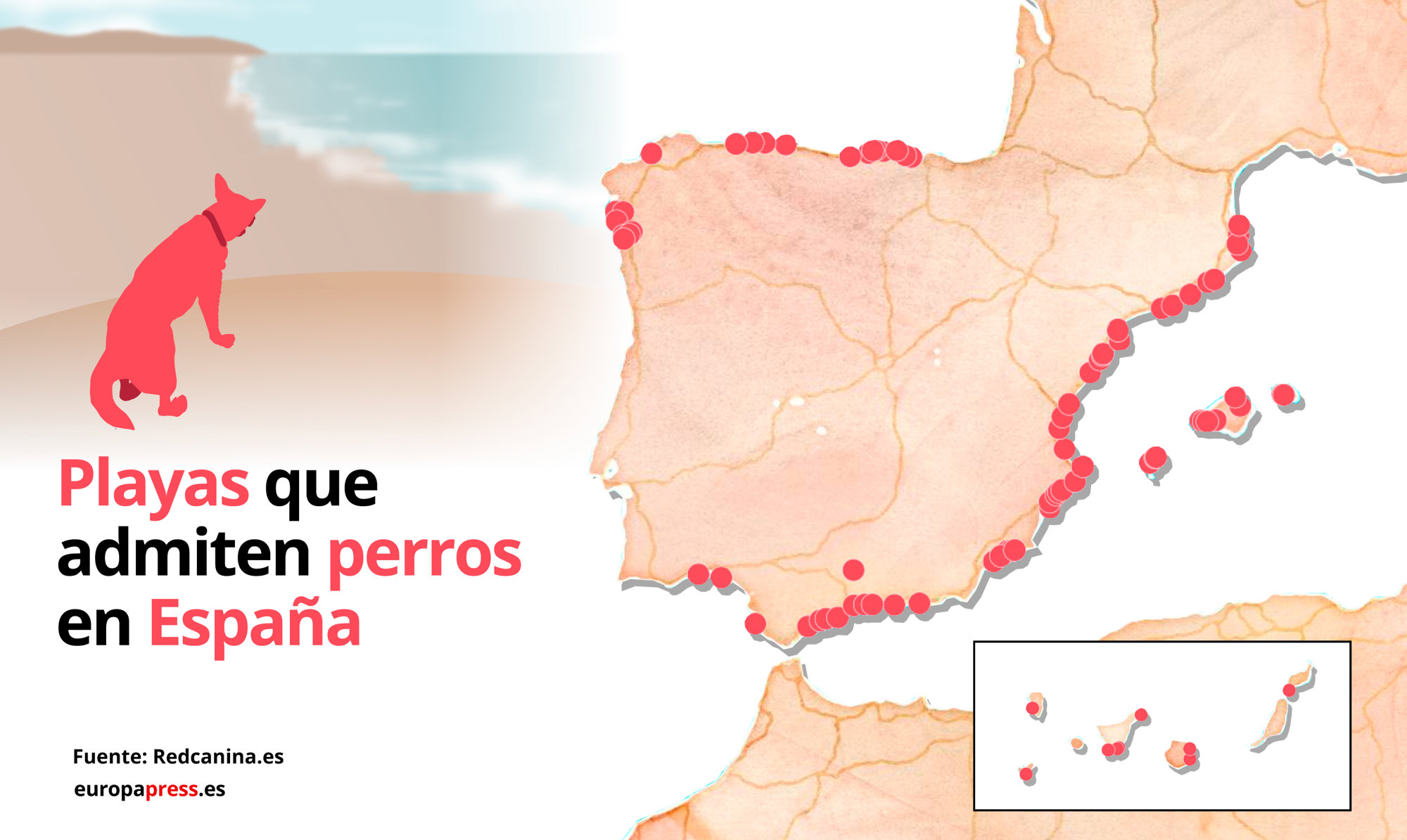 Playas que admiten perros en España - Europa Press