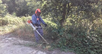 Galicia Rural