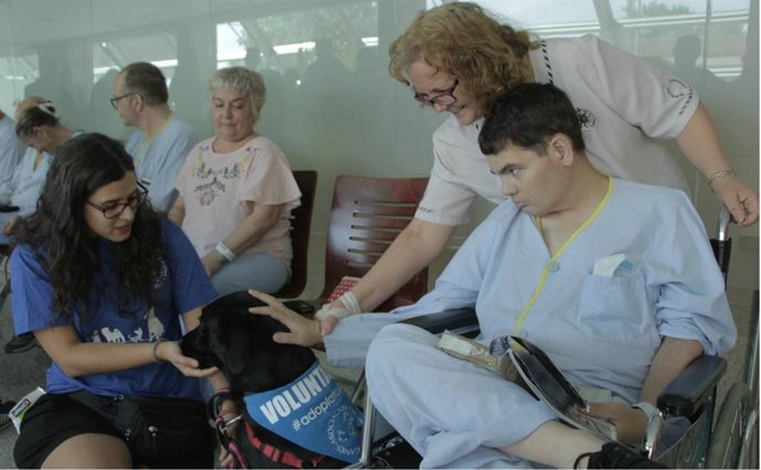 Animales yu pacientes en el Hopsital Severo Ochoa