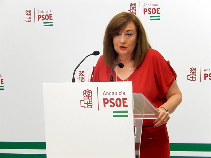 La portavoz de Igualdad del Grupo Parlamentario Socialista, Soledad Pérez, en rueda de prensa