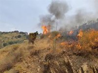 Estabilizado el incendio forestal en el paraje Arroyo Jaboneros de Málaga capital