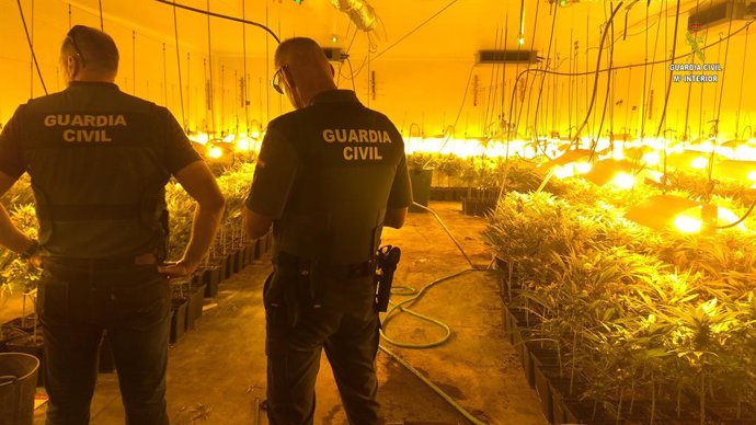 Sevilla.- Sucesos.- Cuatro detenidos por cultivar marihuana en invernaderos de a