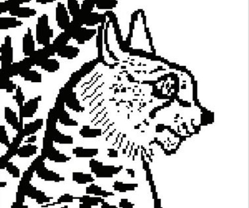 Imagen almancenada para la investigación