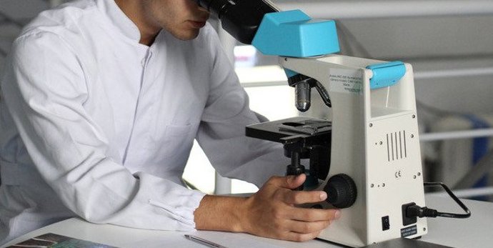 Valncia.- El Incliva crea una red "pionera" para el estudio e investigación de pacientes críticos