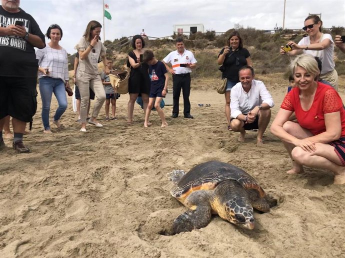 El consejero de Empleo, Universidades, Empresa y Medio Ambiente en funciones, Javier Celdrán, durante la liberación en Águilas de un ejemplar de tortuga boba tratada en el Centro de Recuperación de Fauna Silvestre de El Valle