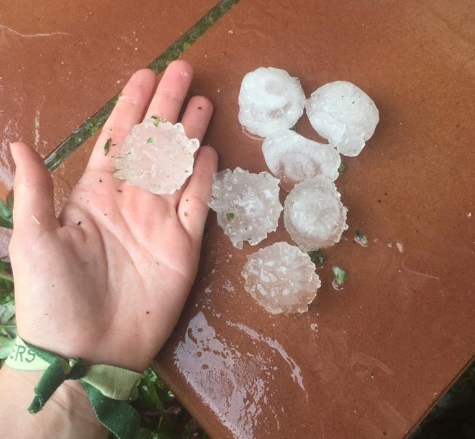 Zaragoza.- Sucesos.- Una tormenta de granizo causa la caída de vegetación, tejas