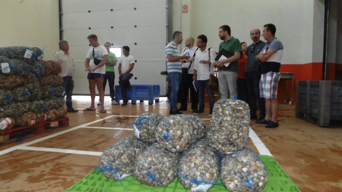 Huelva.- Adelante y Unidas Podemos reclaman inversión para investigación pesquer