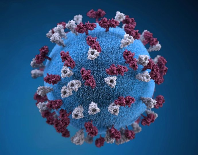 Representación del virus del sarampión
