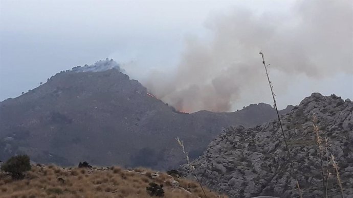 Incendio forestal en Escorca.