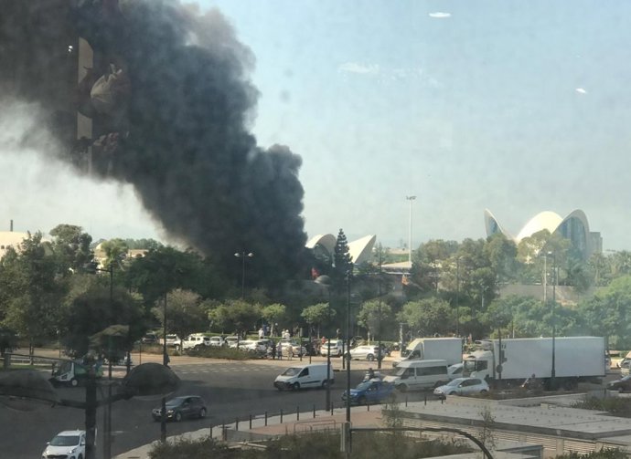 Un incendio en una torre del Oceanogrfic obliga a evacuar a los visitantes sin provocar daños en los animales