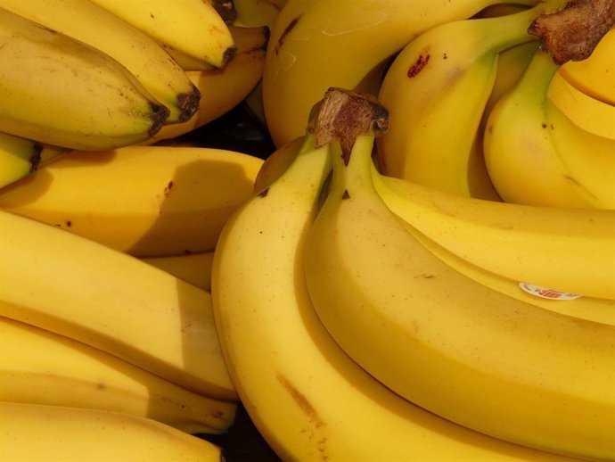 Plátanos, bananas