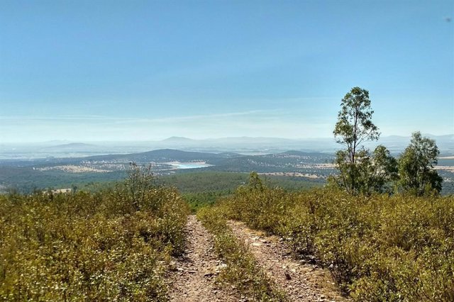 Agua.- La reserva hidráulica española se encuentra al 54,8% tras perder 846 hect
